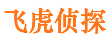 眉山市侦探调查公司